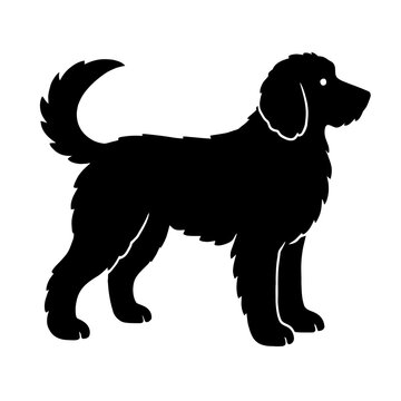 Design a black silhouette of a Goldendoodle white background clean vector shape