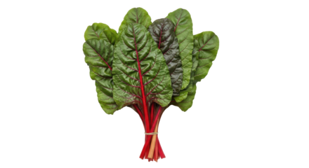 Isolated Chard