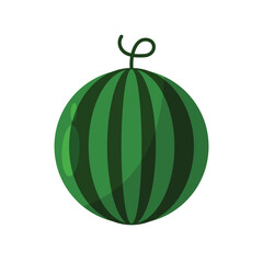 Watermelon simple flat vector illustration on white background