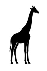 Design a black silhouette of a Giraffe white background clean vector shape
