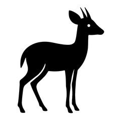 Fototapeta premium Design a black silhouette of a Dik-Dik white background clean vector shape