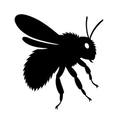 Design a black silhouette of a Field Cuckoo Bumblebee white background clean vector shape