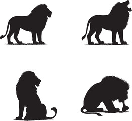 Lion Sitting, Roaring, Walking, and Eating | Wild Animal Behavior in Action black and white silhouette 