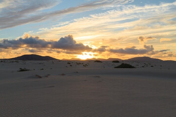 A breathtaking sunset casts warm colors over expansive sandy dunes. Soft clouds drift in the sky as the sun dips below the horizon in tranquility.