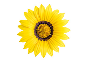 Top view of a bright yellow Gazania daisy flower, full bloom. Isolated on transparent background, png