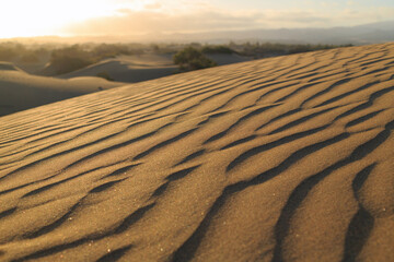 Sunlight casts a warm glow over the textured sand dunes, highlighting the intricate patterns as day...