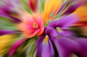 yellow, pink, purple flower background effect