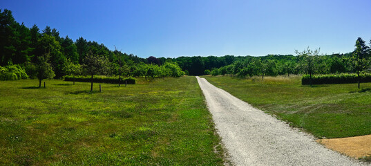 Panoramic photo of a grassy landscape surrounded by trees and green forests. A wide walking path runs through the center of the photo, against a clear blue sky. Location: Northern France