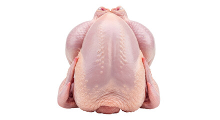 Isolated Whole Chicken