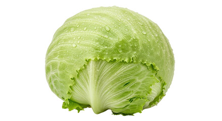 Isolated Iceberg Lettuce