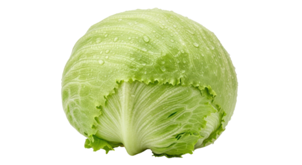 Isolated Iceberg Lettuce