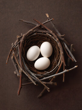 Twigs and small branches arranged into a warm nest, with eggs hidden inside