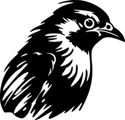 Obraz premium Pigeon | Black and White Vector illustration