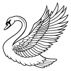 black swan vector, goose coloring page, wings coloring illustration © Shammi