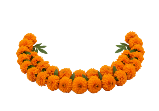 Vibrant Marigold Garland: A Festive Semi-Circular Arrangement with Orange and White Flowers