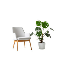 Modern white armchair near monstera plant, simple interior design element on transparent background