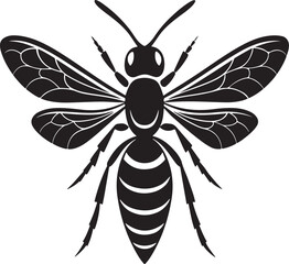 Fototapeta premium Black and white vector illustration of a detailed honey bee isolated on white background