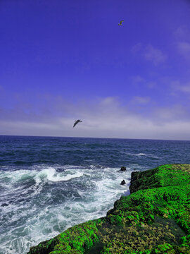 Rocky ocean coast with green moss and waves under blue sky