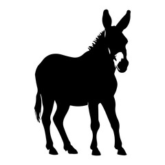 Standing Donkey or Mule Farm Animal Vector Illustration
