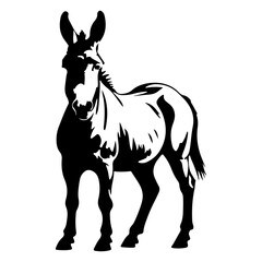 Standing Donkey or Mule Farm Animal Vector Illustration