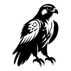 Powerful Falcon Hawk Bird of Prey Vector Illustration