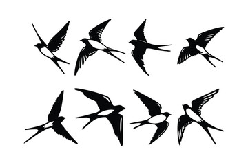 vector silhouettes of birds, birds are depicted in various dynamic poses with black, white, flying bird background Free Set bundle of Birds.
