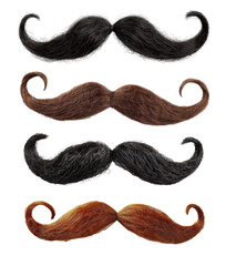 Unique collection of various mustache styles displayed in a creative arrangement on a white background