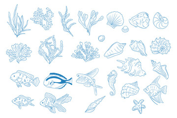 Sea life doodle collection with fish, coral, seaweed, shells, and starfish in hand drawn outline style. Represents marine biodiversity and underwater nature with a clean vector illustration concept
