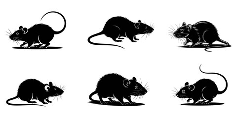Rat Silhouettes, Mouse rat silhouettes set, large pack of vector silhouette design, isolated white background, Rat silhouette vector, Mouse icon collection, vector set, Silhouettes of rats, set