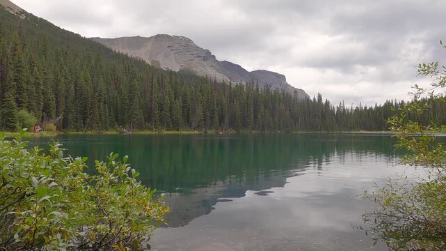 Reflection of of Green Pine Forest on peaceful lake , Natural Landscape, Environmental Concept, Green Pine Trees from Above is a highly marketable visual Landscape for Conservation Theme