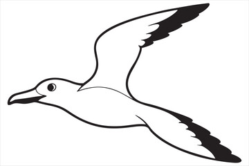 Obraz premium seagull in flight