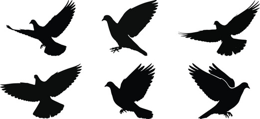 Bird silhouette vector set, collection of flying pigeons, black outline for nature, wildlife, and peace symbol design