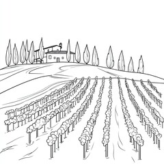 A simple line drawing of an Italian vineyard with rows of grapevines and cypress trees, with a house in the background