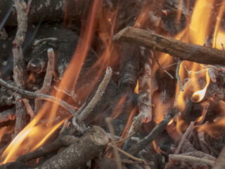 Close-Up of Fiery Embers and Burning Wood in a Warm Bonfire