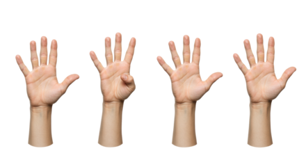 Five light-skinned adult hands, each in a 3/4 view, demonstrating counting gestures from one to five, isolated on a transparent studio background with copy space. Concept of clear numerical