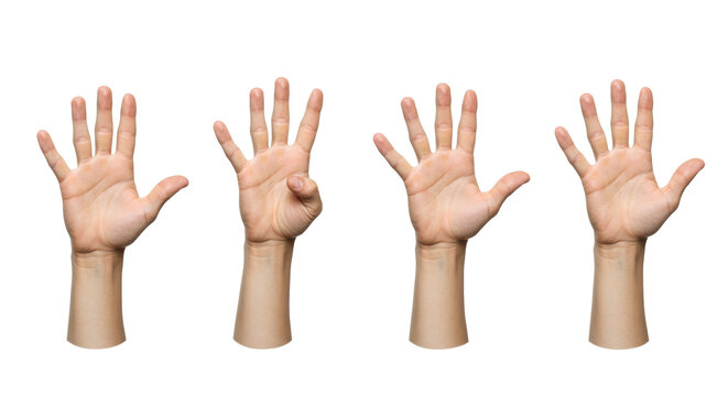 Five light-skinned adult hands, each in a 3/4 view, demonstrating counting gestures from one to five, isolated on a transparent studio background with copy space. Concept of clear numerical