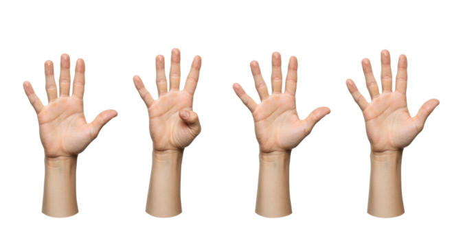 Five light-skinned adult hands, each in a 3/4 view, demonstrating counting gestures from one to five, isolated on a transparent studio background with copy space. Concept of clear numerical