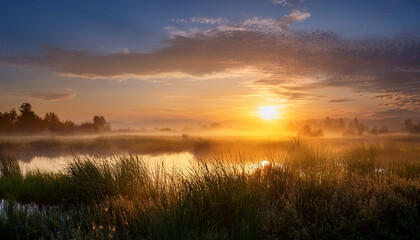 Fototapeta premium allure of a marsh at daybreak as initial rays of sunlight pierce distant horizon casting ethereal shadows upon swaying grasses while heralding advent of a fresh dawn in this magnificent wetland