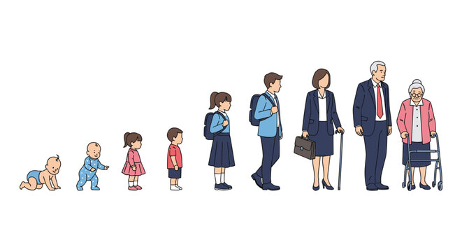 Visual depiction of human life stages from infancy to old age illustrating growth and development