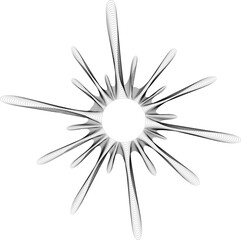 Central hollow circle with fine, delicate radial rays splattering outward, creating an elegant, detailed abstract form.