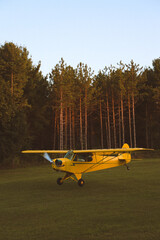 CUB AIRPLANE  © talya