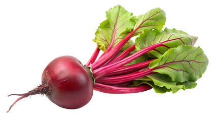 A fresh beetroot with vibrant green leaves and red stems, isolated on transparent background