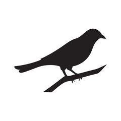 Black bird silhouettes including crow and pigeon, flying or perched, as vector art illustrations for nature and wildlife