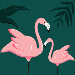 Two pink flamingos in the tropics on a green background