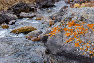 Rocks with orange lichen by mountain river in daytime
