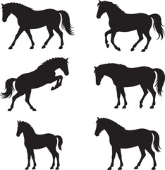 Black horse silhouettes in various poses white walking
