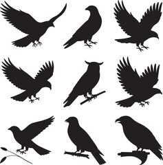 Diverse bird silhouettes featuring eagles owls pigeons and crows vector