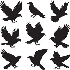 set of silhouettes of birds