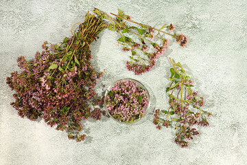 Bouquet of oregano and petals in a glass cup on a concrete table for collecting useful herbs and treatment according to folk recipes, Medicinal herbal tea, concept of alternative folk medicine,