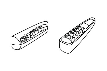Sushi rolls in boat food japanese